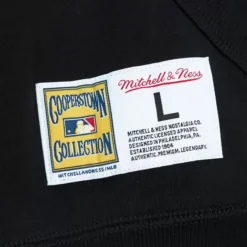 Mitchell & Ness Hoodies & Sweatshirts-City Collection Fleece Hoody San Francisco Giants