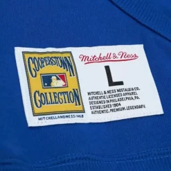 Mitchell & Ness Hoodies & Sweatshirts-City Collection Fleece Hoody Los Angeles Dodgers
