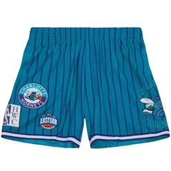 Mitchell & Ness Shorts-City Collection Mesh Shorts Charlotte Hornets