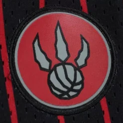 Mitchell & Ness Shorts-City Collection Mesh Shorts Toronto Raptors