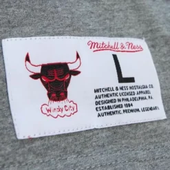 Mitchell & Ness T-Shirts & Tops-City Collection Ss Tee Chicago Bulls