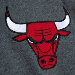 Mitchell & Ness Hoodies & Sweatshirts-Classic French Terry Hoody Chicago Bulls
