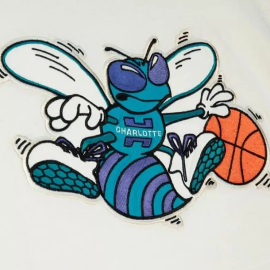 Mitchell & Ness T-Shirts & Tops-Color Blocked S/S Tee Charlotte Hornets