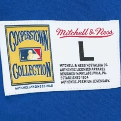 Mitchell & Ness T-Shirts & Tops-Color Blocked Ss Tee Chicago Cubs