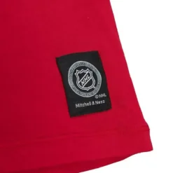 Mitchell & Ness T-Shirts & Tops-Color Blocked Ss Tee Detroit Red Wings