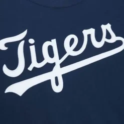 Mitchell & Ness T-Shirts & Tops-Color Blocked Ss Tee Detroit Tigers