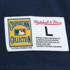 Mitchell & Ness T-Shirts & Tops-Color Blocked Ss Tee Detroit Tigers