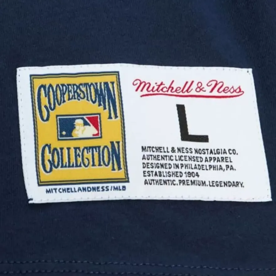 Mitchell & Ness T-Shirts & Tops-Color Blocked Ss Tee Detroit Tigers