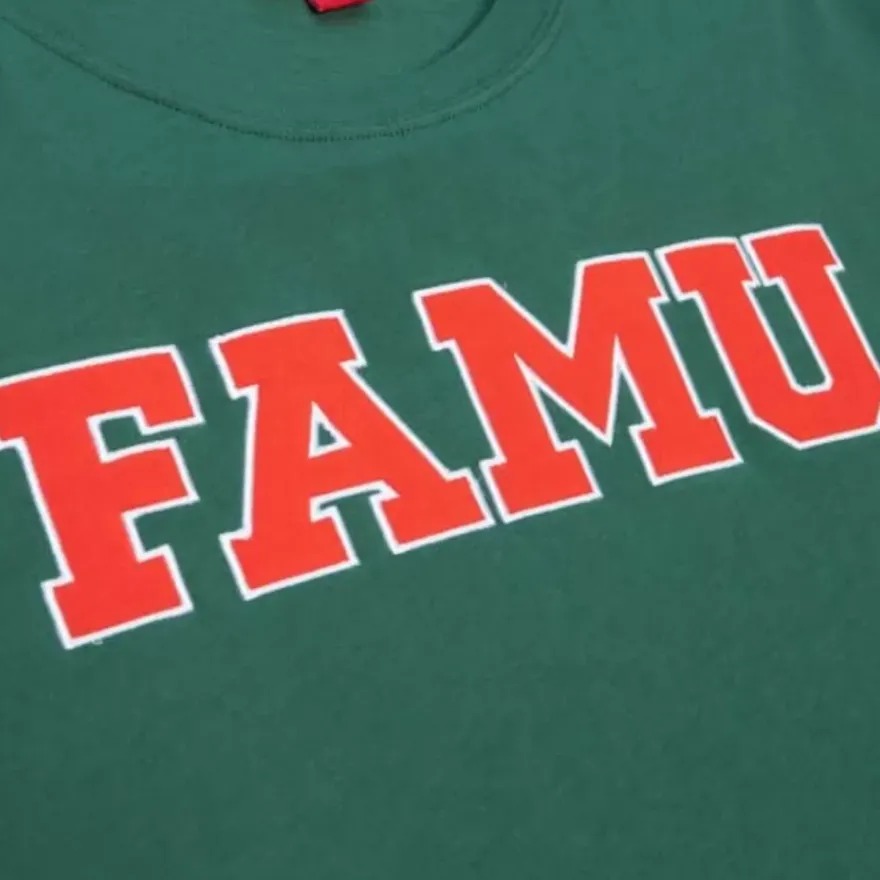 Mitchell & Ness T-Shirts & Tops-Color Blocked Ss Tee Florida A&M University