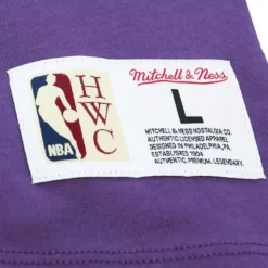 Mitchell & Ness T-Shirts & Tops-Color Blocked Ss Tee Los Angeles Lakers
