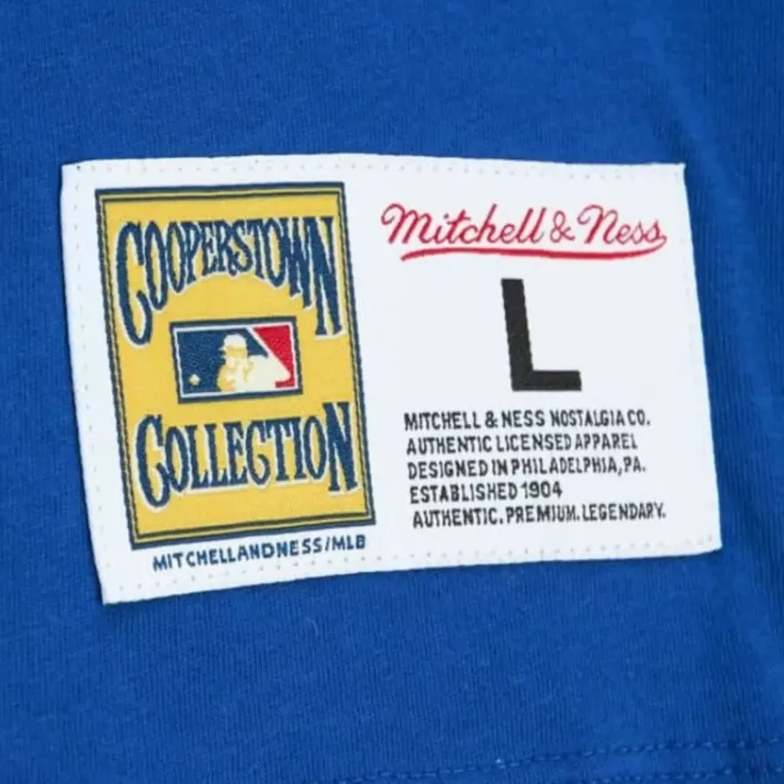 Mitchell & Ness T-Shirts & Tops-Color Blocked Ss Tee New York Mets