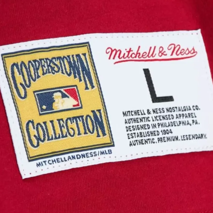 Mitchell & Ness T-Shirts & Tops-Color Blocked Ss Tee St. Louis Cardinals