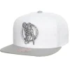 Mitchell & Ness Snapback-Cool Gray 7 Snapback Boston Celtics