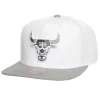 Mitchell & Ness Snapback-Cool Gray 7 Snapback Chicago Bulls