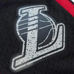 Mitchell & Ness Shorts-Cracked Cement Swingman Shorts Los Angeles Lakers 2009-10