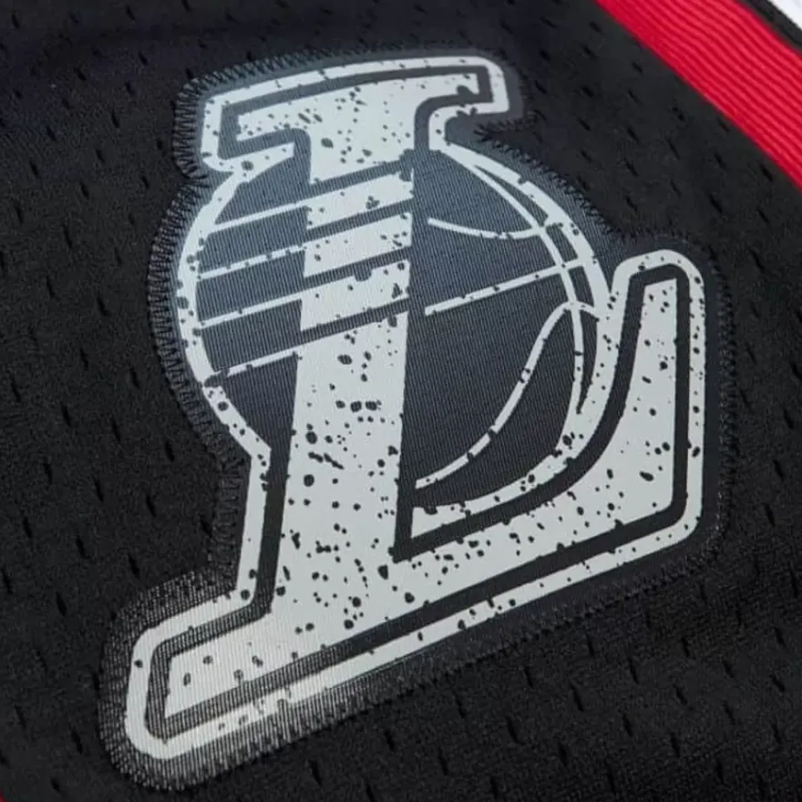 Mitchell & Ness Shorts-Cracked Cement Swingman Shorts Los Angeles Lakers 2009-10