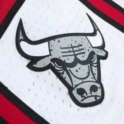 Mitchell & Ness Shorts-Cracked Cement Swingman Shorts Chicago Bulls 1997-98