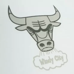 Mitchell & Ness Hoodies & Sweatshirts-Cream Hoodie Chicago Bulls