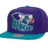 Mitchell & Ness Snapback-Crooked Path Snapback Hwc Charlotte Hornets