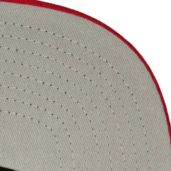 Mitchell & Ness Snapback-Cross Check Snapback Hwc Toronto Raptors