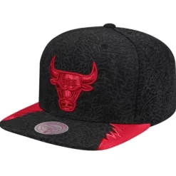 Mitchell & Ness Snapback-Day 5 Snapback Chicago Bulls