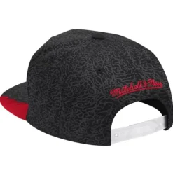 Mitchell & Ness Snapback-Day 5 Snapback Chicago Bulls