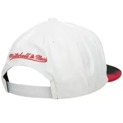 Mitchell & Ness Snapback-Day 5 Snapback Chicago Bulls