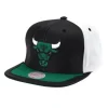 Mitchell & Ness Snapback-Day One Snapback Chicago Bulls