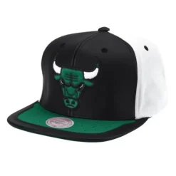 Mitchell & Ness Snapback-Day One Snapback Chicago Bulls