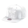 Mitchell & Ness Snapback-Day One Snapback Chicago Bulls