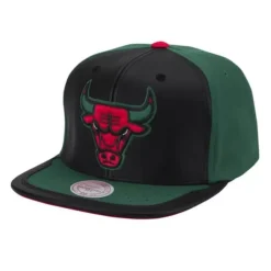Mitchell & Ness Snapback-Day One Snapback Chicago Bulls