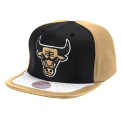 Mitchell & Ness Snapback-Day One Snapback Chicago Bulls
