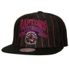 Mitchell & Ness Snapback-Dem Stripes Snapback Hwc Toronto Raptors
