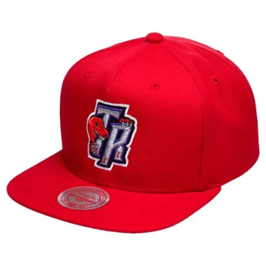 Mitchell & Ness Snapback-Domestic Hwc Team Ground Toronto Raptors