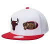 Mitchell & Ness Snapback-Dual Whammy Snapback Chicago Bulls