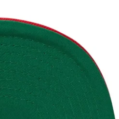 Mitchell & Ness Snapback-Dual Whammy Snapback Chicago Bulls