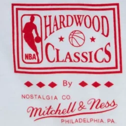 Mitchell & Ness T-Shirts & Tops-Dunk Tee Toronto Raptors