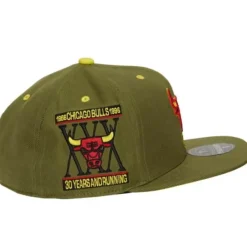Mitchell & Ness Fitted-Dusty Olive Fitted Hwc Chicago Bulls