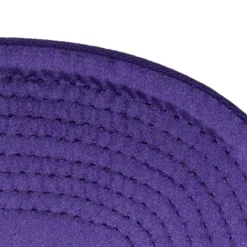 Mitchell & Ness Snapback-English Dropback Snapback Hwc Toronto Raptors