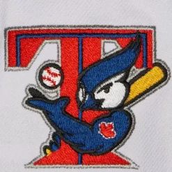 Mitchell & Ness Snapback-Evergreen Pro Snapback Coop Toronto Blue Jays