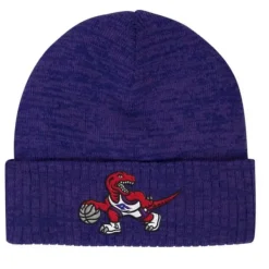 Mitchell & Ness Knit-Fandom Knit Beanie Hwc Toronto Raptors