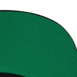 Mitchell & Ness Snapback-Front Loaded Snapback Hwc Toronto Raptors