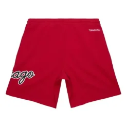Mitchell & Ness Shorts-Game Day Ft Shorts Chicago Bulls