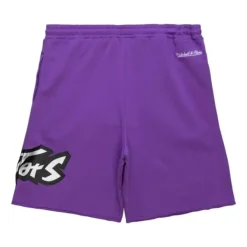 Mitchell & Ness Shorts-Game Day Ft Shorts Toronto Raptors