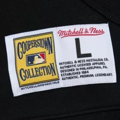 Mitchell & Ness Hoodies & Sweatshirts-Game Time Fleece Hoodie Vintage Logo San Francisco Giants