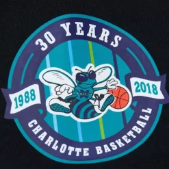 Mitchell & Ness Hoodies & Sweatshirts-Game Time Fleece Hoodie Vintage Logo Charlotte Hornets