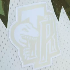 Mitchell & Ness Shorts-Ghost Green Camo Swingman Toronto Raptors 1998-99 Shorts