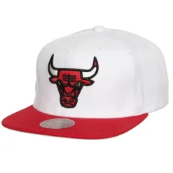 Mitchell & Ness Snapback-Glow Team Snapback Hwc Chicago Bulls