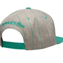 Mitchell & Ness Snapback-Grey Pin Pop Snapback Hwc Vancouver Grizzlies