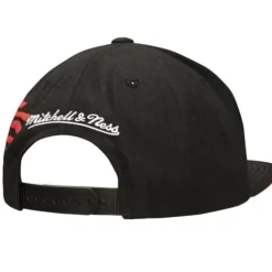 Mitchell & Ness Snapback-Happy Trees Snapback Hwc Toronto Raptors